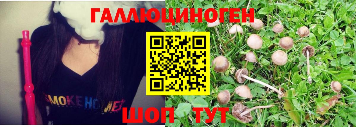 Алапаевск  Псилоцибиновые грибы Magic Shrooms  Вход с VPN 